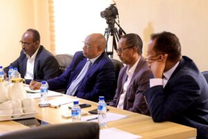 meeting between the Social Affairs Committee of Somalilands House of Representatives and senior officials from the Ministry of Health Development1